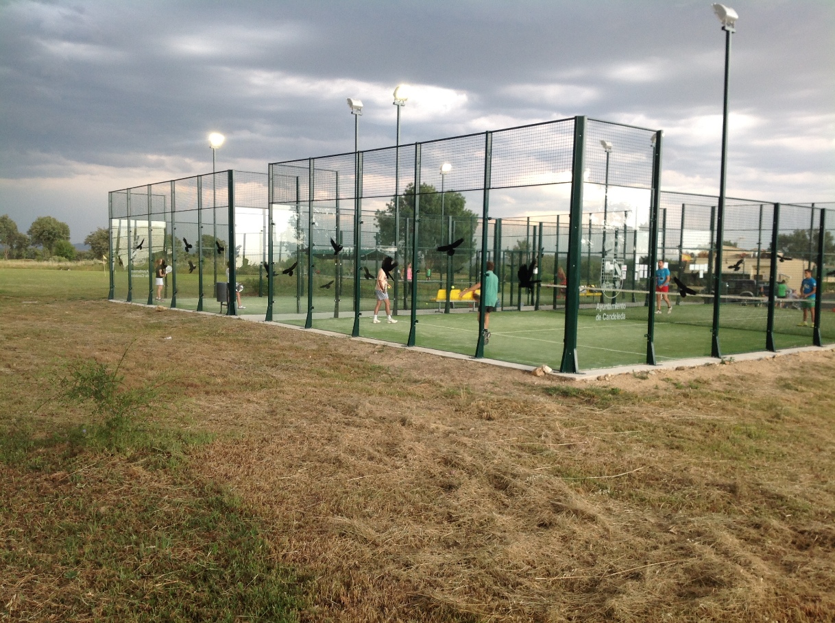Primer día del torneo